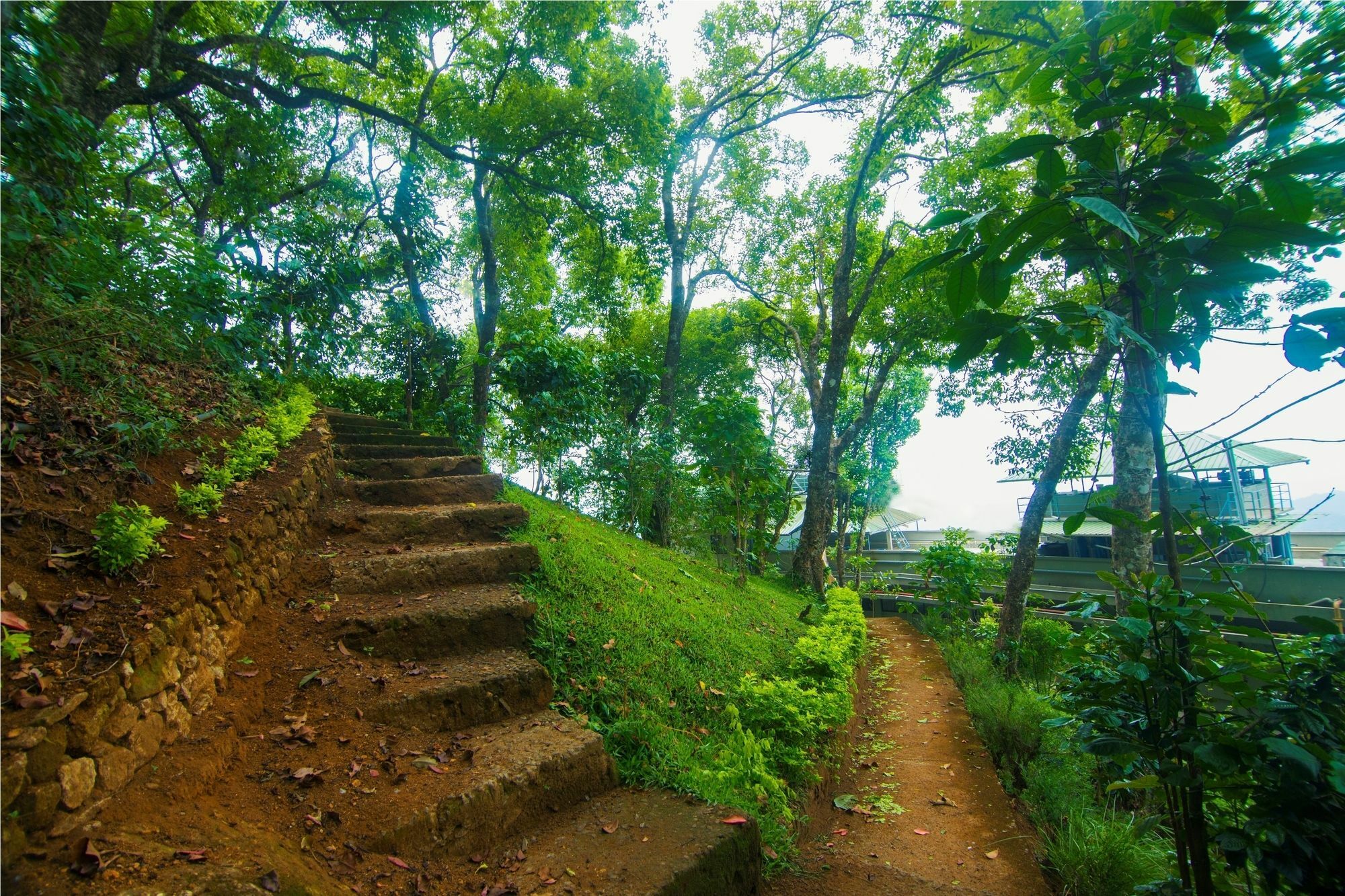Forest Glade Resorts Chithirapuram المظهر الخارجي الصورة