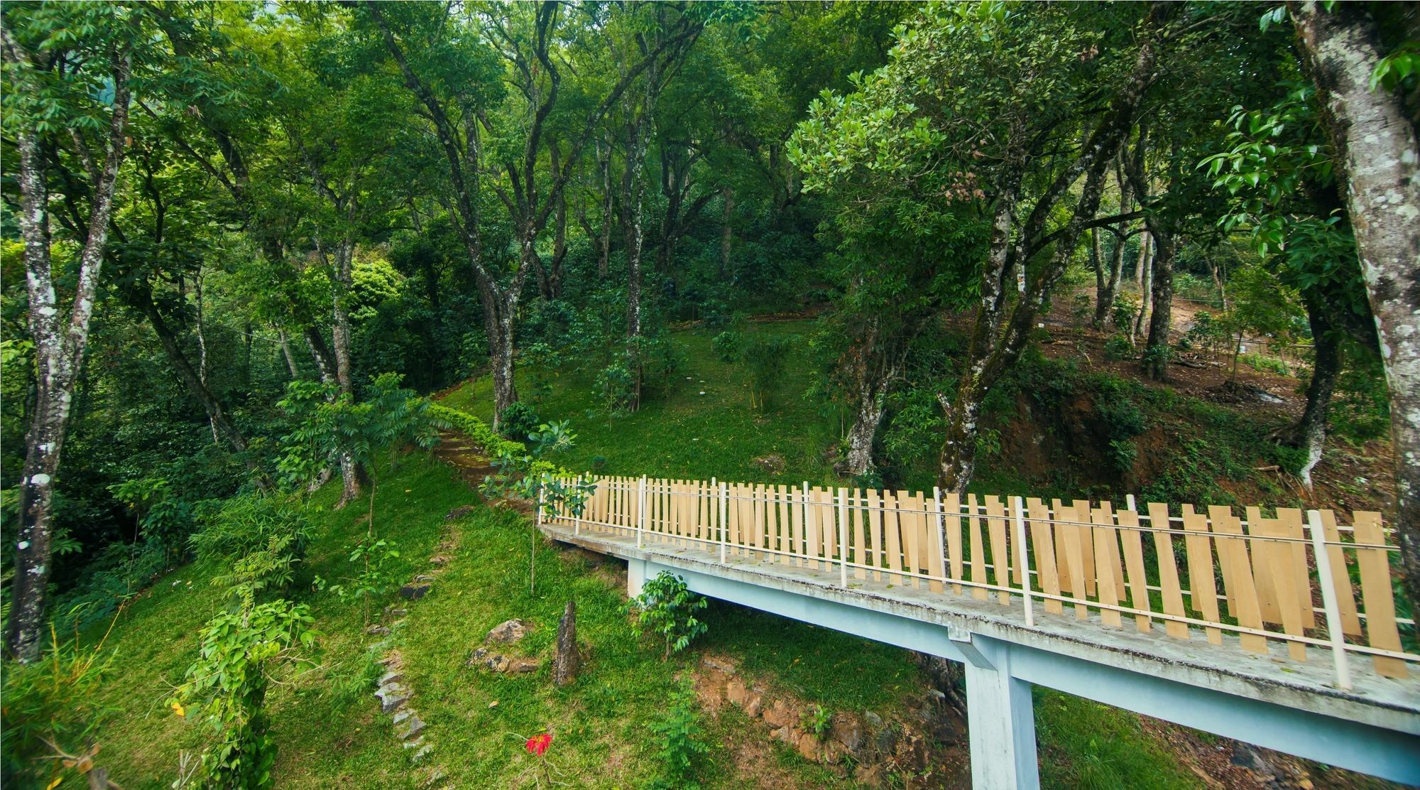 Forest Glade Resorts Chithirapuram المظهر الخارجي الصورة